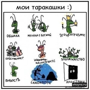 Мои таракашки